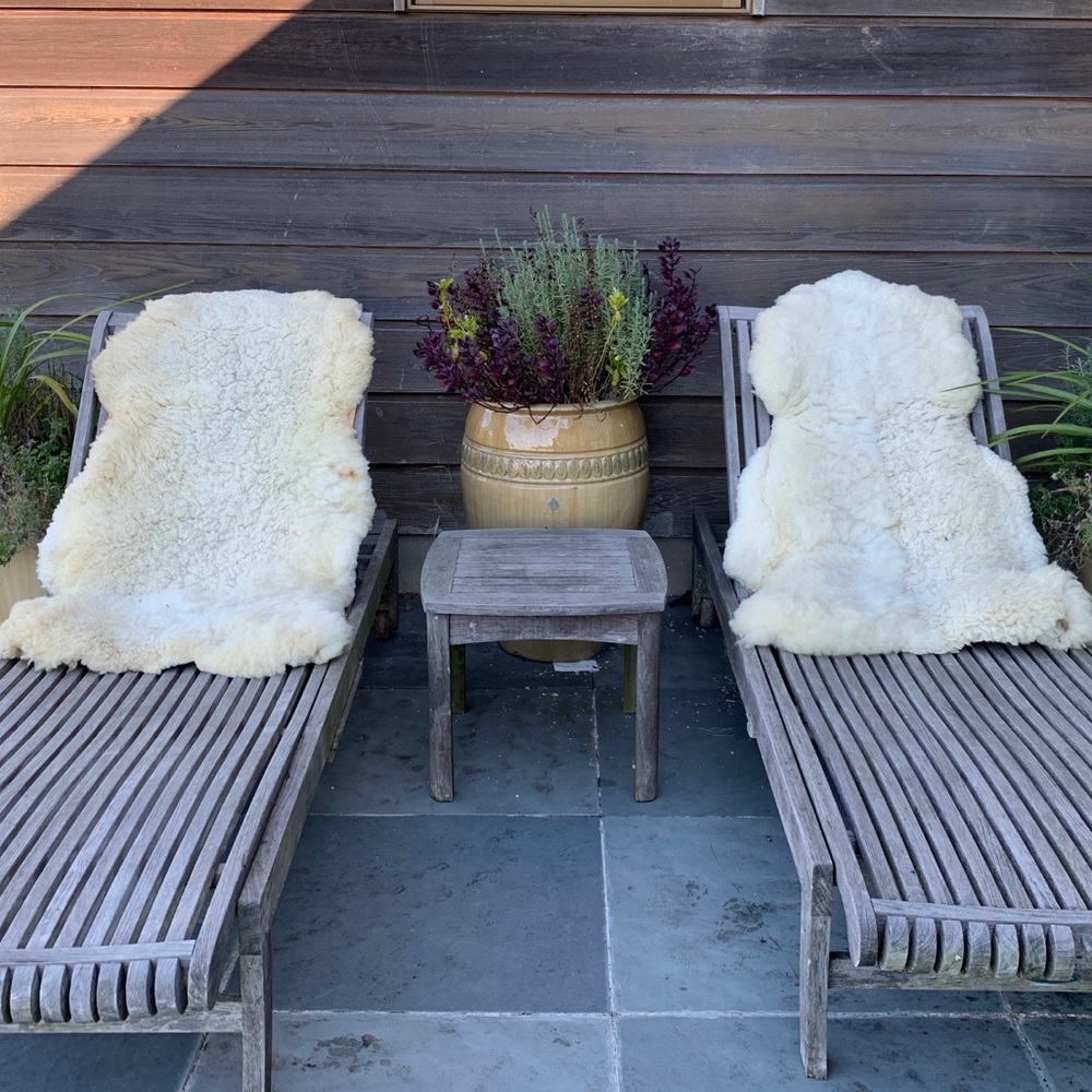 TWO BIG SHEEPSKINS 50x28 in